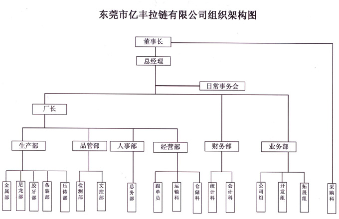 組織架構 - 東莞探花在线播放探花在线观看有限公司