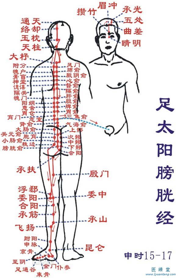 如何利用足太陽膀胱經“生命探花在线观看”提精神，增加健康指數
